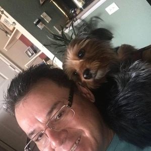 Meet your Posher, George